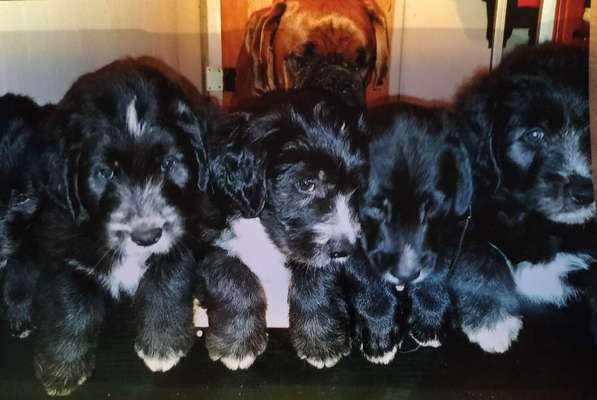 Fotochallenge Nr. 67: Euer Lieblingsbild-Beitrag-Bild