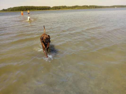 FOTOCHALLANGE NR.71 BADEFREUDE-Beitrag-Bild