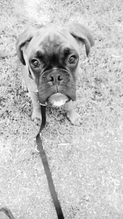 Foto-Challenge 76: Foto in Schwarz-Weiss-Beitrag-Bild