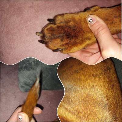 Blick fürs Detail!-Beitrag-Bild