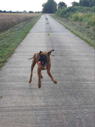 Fotochallenge Nr. 52 „Spring!“-Beitrag-Bild