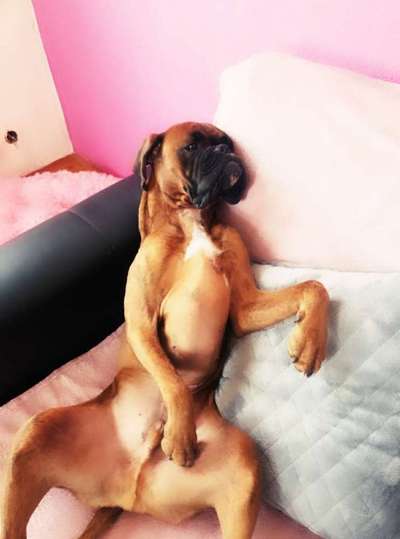 Fotochallenge Nr.65-Beitrag-Bild