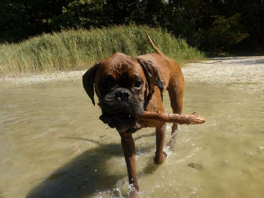 35. Handy Foto Challenge - Das nasse Element-Beitrag-Bild