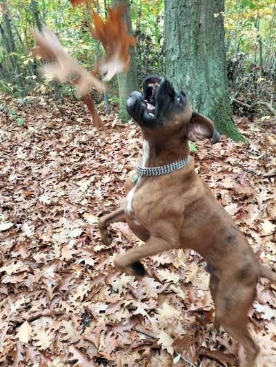 Herbst Bilder-Beitrag-Bild