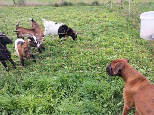 17. Handyfoto – Challenge-Beitrag-Bild