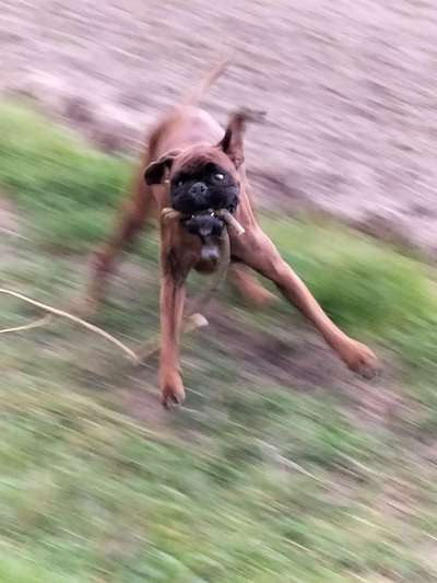 Fotochallenge Nr.105  Glücksmomente-Beitrag-Bild