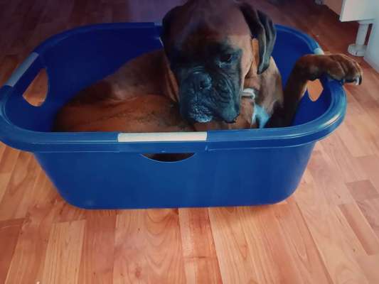 121. Fotochallenge-Beitrag-Bild