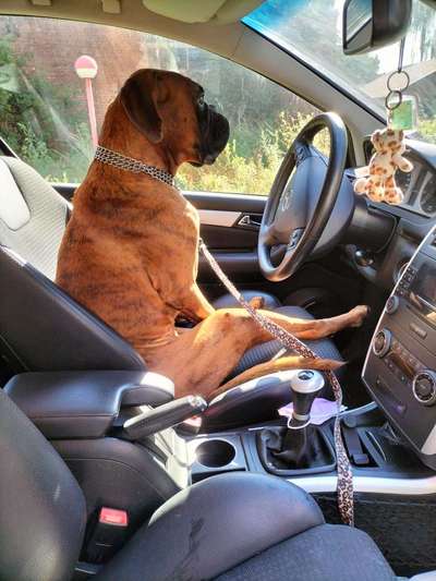 117. Fotochallenge-Beitrag-Bild