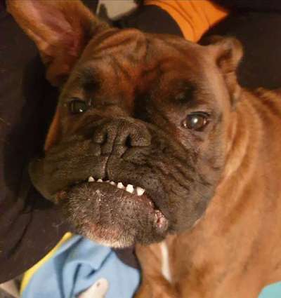 Fotochallange Nr. 57     PORTRÄT.   Beendet!!!!!!!!-Beitrag-Bild