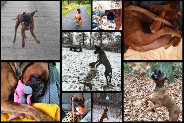 22. Collagen Challenge- Lebensfreude-Beitrag-Bild