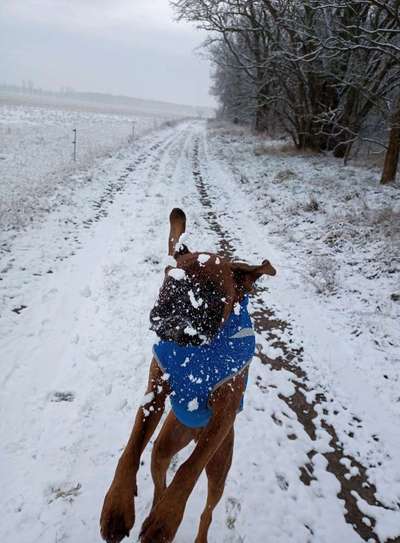 Fotochallenge 61 ~ Schnee-Beitrag-Bild