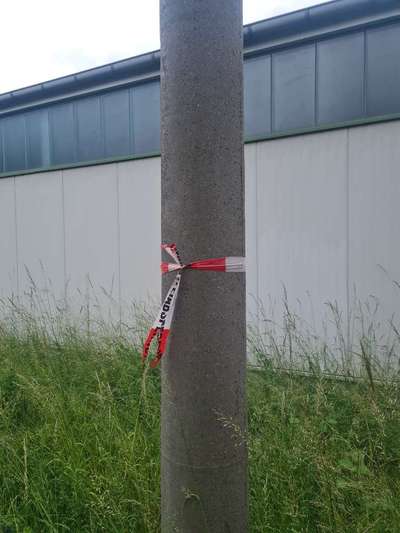 Giftköder-REHE!!!! KADAVER!!!-Bild
