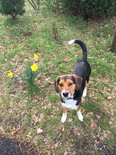 Fotochallenge No. 26                                     Wald und Wiese-Beitrag-Bild