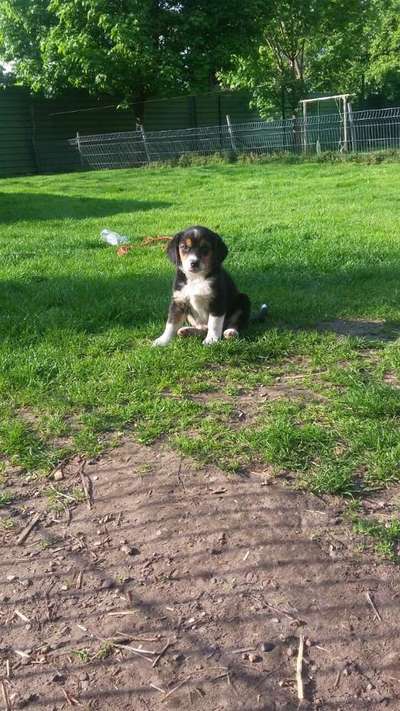 Das erste Foto-Beitrag-Bild