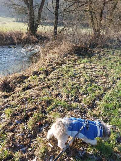 Angst vor Jacke?-Beitrag-Bild