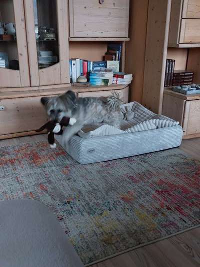 Was hat euch heute gefreut?-Beitrag-Bild