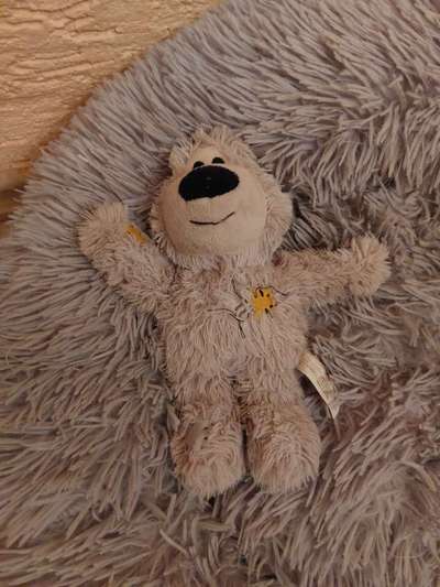 Spielzeug welches lange hält?-Beitrag-Bild