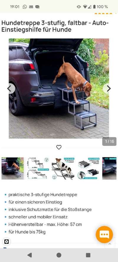 Hundetreppe für Einstieg in den Kofferraum-Beitrag-Bild