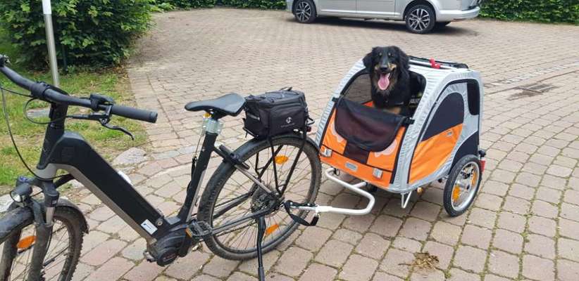 Fahrrad fahren-Beitrag-Bild