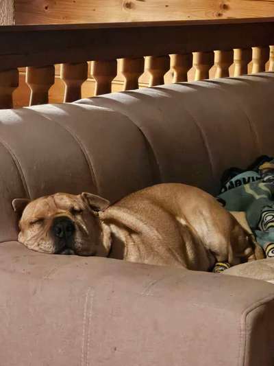 Was würdest du jetzt anders machen?-Beitrag-Bild