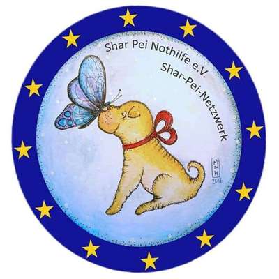 Tierschutzhunde suchen ein Zuhause-Beitrag-Bild