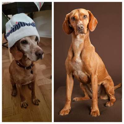 28. Handy-Fotochallenge - Damals und heute-Beitrag-Bild