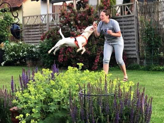 Hier ist der Spaßthread. Zum Schmunzeln und Kaputtlachen-Beitrag-Bild