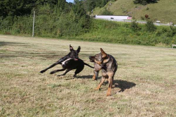 Austausch zur Fotografie-Beitrag-Bild