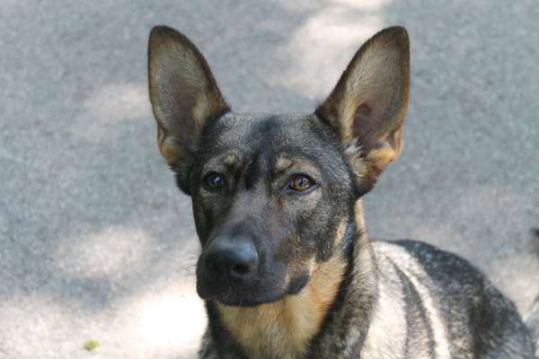 Austausch zur Fotografie-Beitrag-Bild