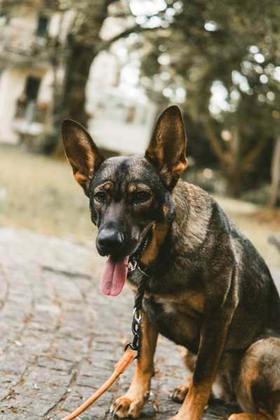 Austausch zur Fotografie-Beitrag-Bild