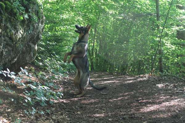 Austausch zur Fotografie-Beitrag-Bild
