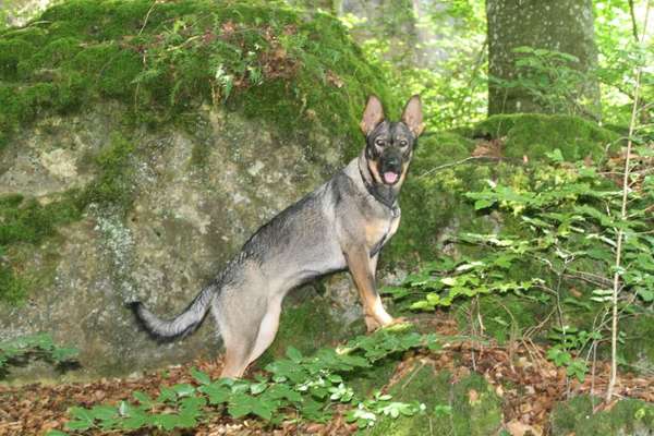 Austausch zur Fotografie-Beitrag-Bild
