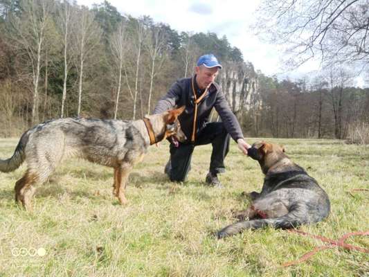 Austausch zur Fotografie-Beitrag-Bild