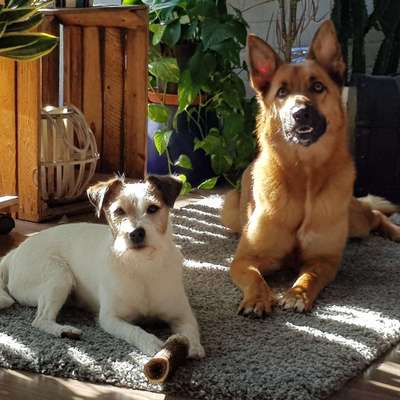 Lieblingsbild-Beitrag-Bild