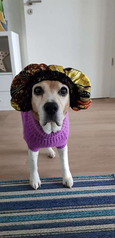 Lieblingsbild-Beitrag-Bild