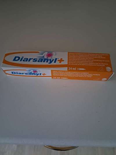 Allergiker Hund Durchfall lösung-Beitrag-Bild