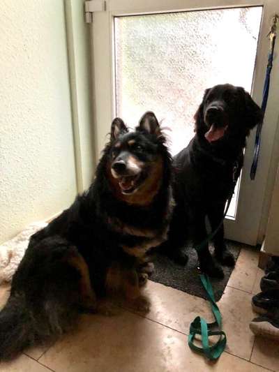 Fotochallenge Nr. 67: Euer Lieblingsbild-Beitrag-Bild