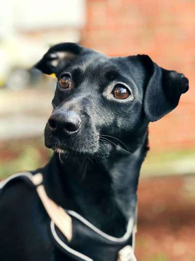 Fotochallenge Nr. 67: Euer Lieblingsbild-Beitrag-Bild