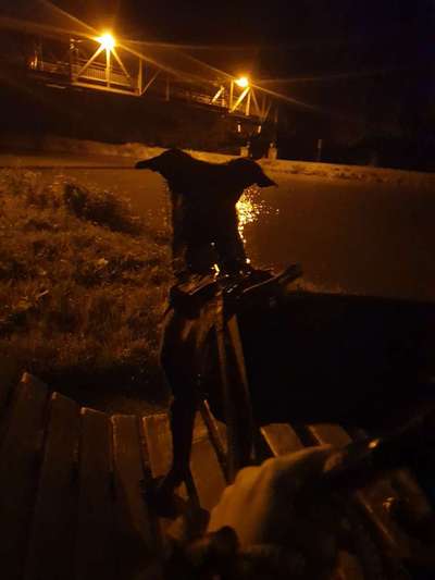 Foto Challenge Thema "Brücke"-Beitrag-Bild