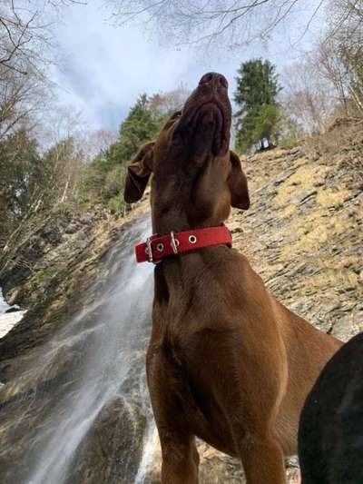 Dogorama-Monats-Challenge-Mai "Wasser"-Beitrag-Bild