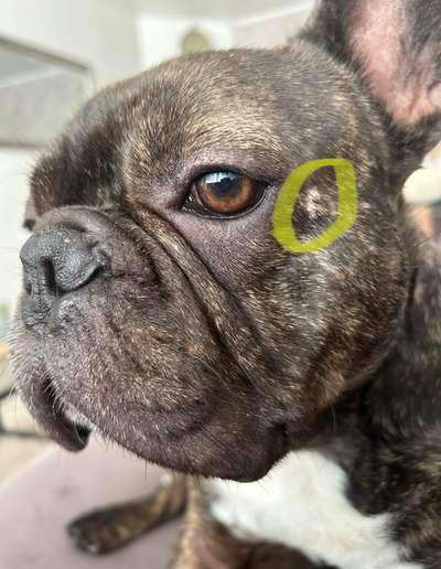 Beule im Gesicht.-Beitrag-Bild