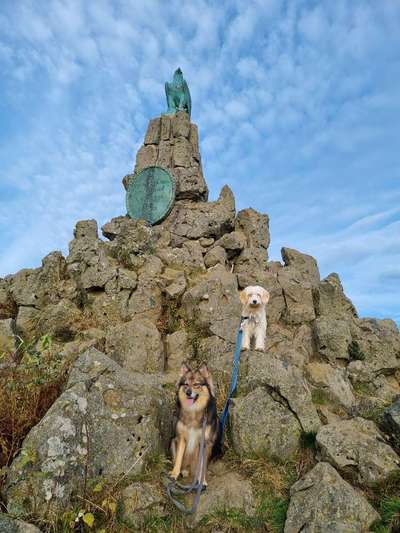 Die Dogorama Kalender Challenge Titelbild-Beitrag-Bild