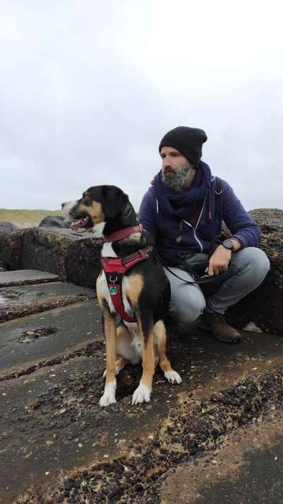 Hundetreffen-Keks - eine Herausforderung-Bild