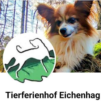 Hundepension Tierferienhof Eichenhag | Hundeschule & Hundepension in Zemitz  – Dogorama