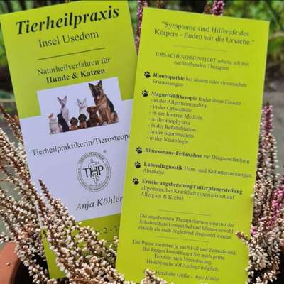 Medizinische Dienstleistung Tierheilpraxis Insel Usedom in Wolgast  – Dogorama