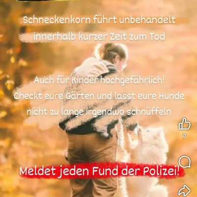 Giftköder-Giftköder in 17509 Lubmin-Bild