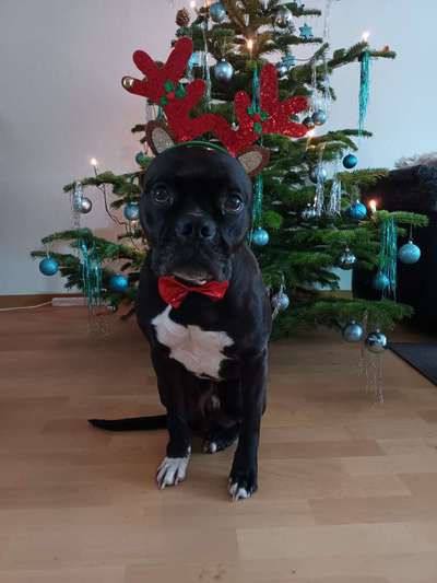 It's beginning to look a lot like.....-Beitrag-Bild