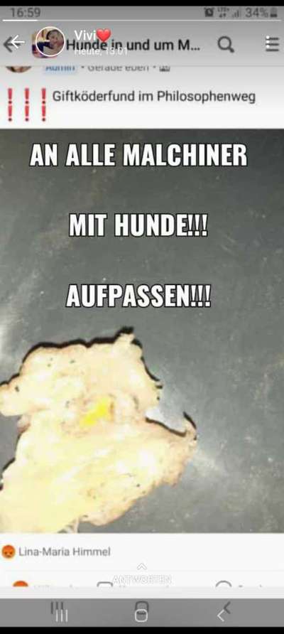 Giftköder-Gifftköder!!-Bild