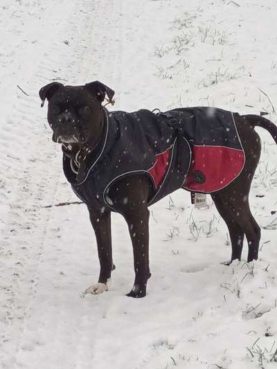 Fotochallenge 61 ~ Schnee-Beitrag-Bild