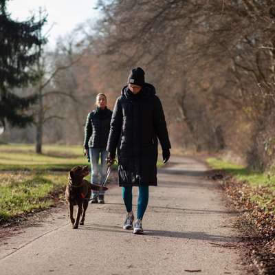 %{de_profession_title}-Eintägiges Kompaktseminar Leinenführung-Bild